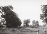 Ewidencja parkowa, skan nr 22