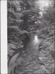 Ewidencja parkowa, skan nr 32