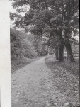 Ewidencja parkowa, skan nr 34