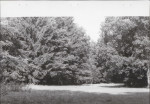 Ewidencja parkowa, skan nr 42
