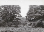 Ewidencja parkowa, skan nr 44