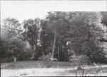 Ewidencja parkowa, skan nr 48