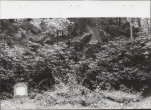Ewidencja parkowa, skan nr 54