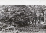 Ewidencja parkowa, skan nr 56