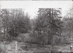Ewidencja parkowa, skan nr 51