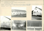 Karta biała, skan nr 20