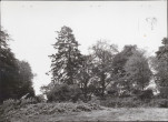 Ewidencja parkowa, skan nr 22