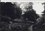 Ewidencja parkowa, skan nr 24