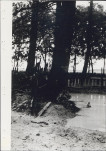 Ewidencja parkowa, skan nr 27