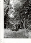 Ewidencja parkowa, skan nr 31