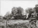 Ewidencja parkowa, skan nr 21