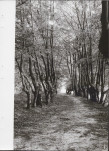 Ewidencja parkowa, skan nr 23