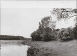 Ewidencja parkowa, skan nr 35