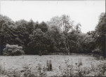 Ewidencja parkowa, skan nr 25