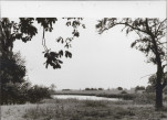 Ewidencja parkowa, skan nr 28