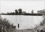Ewidencja parkowa, skan nr 30