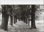 Ewidencja parkowa, skan nr 34