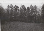 EP - Ewidencja parkowa, skan nr 21