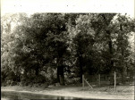 Ewidencja parkowa, skan nr 24