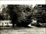 Ewidencja parkowa, skan nr 24