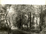 Ewidencja parkowa, skan nr 28