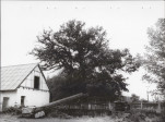 Ewidencja parkowa, skan nr 22