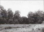 Ewidencja parkowa, skan nr 24