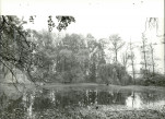 Ewidencja parkowa, skan nr 31