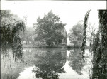 Ewidencja parkowa, skan nr 25