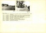 Karta biała, skan nr 8