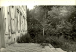 EP - Ewidencja parkowa, skan nr 31