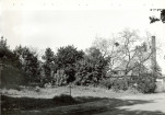 Ewidencja parkowa, skan nr 19