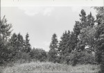 EP - Ewidencja parkowa, skan nr 28