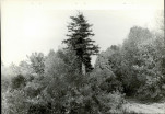 Ewidencja parkowa, skan nr 26