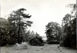 Ewidencja parkowa, skan nr 24
