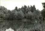 EP - Ewidencja parkowa, skan nr 64