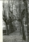 EP - Ewidencja parkowa, skan nr 68