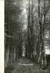 EP - Ewidencja parkowa, skan nr 70