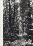 Ewidencja parkowa, skan nr 34