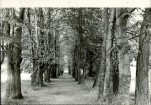 Ewidencja parkowa, skan nr 32