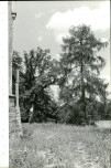 Ewidencja parkowa, skan nr 45