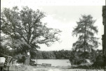 Ewidencja parkowa, skan nr 47