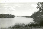 Ewidencja parkowa, skan nr 51