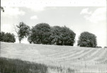 Ewidencja parkowa, skan nr 61