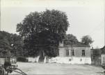 Ewidencja parkowa, skan nr 29