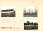 Karta biała, skan nr 15
