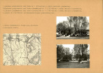 Karta biała, skan nr 6