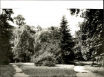 Ewidencja parkowa, skan nr 41
