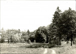Ewidencja parkowa, skan nr 21