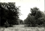 Ewidencja parkowa, skan nr 33